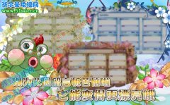 小花仙快來種植寶箱領取留言板