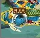 功夫派靈晶果在哪