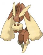 年獸精靈 賽爾號長耳兔（虛構(gòu)）