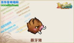 精靈牧場暴牙豬在哪怎么抓 精靈牧場暴牙豬進化圖