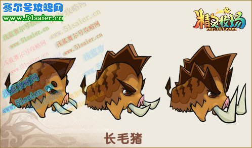 長毛豬