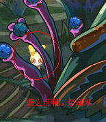 賽爾號超囧的事情
