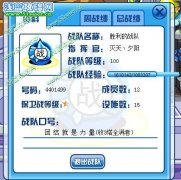 暗夜聯盟封天戰隊收人詳情