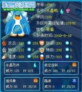 斜暉野生精靈解析——水晶鴨與赤西西比
