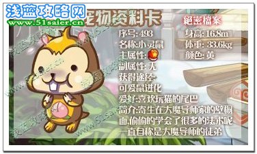 小靈鼠