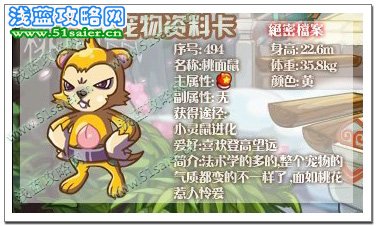 桃面鼠