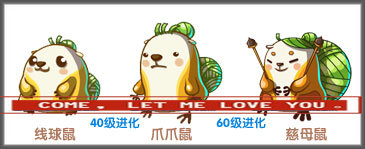 線球鼠 慈母鼠