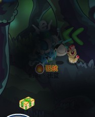 經(jīng)驗(yàn)包