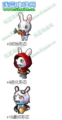 小小忍者兔子寶寶 +18進化