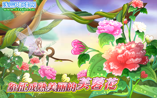 小花仙芙蓉花