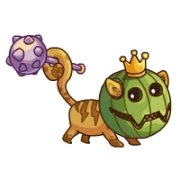 摩爾勇士王冠卡西卡