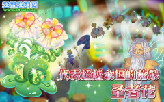 小花仙圣者花 代表超越永恒的花朵
