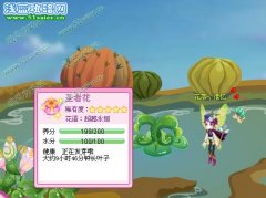 關于小花仙圣者花BUG