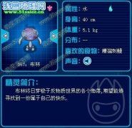 亮の精靈解析~暗黑海之霸主 布林克克