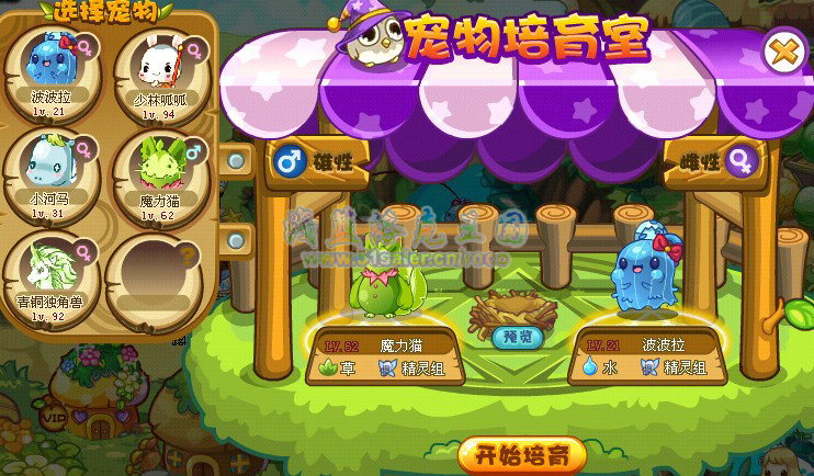 洛克王國寵物培育室 洛克王國寵物培育室詳解