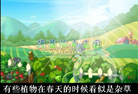 洛克王國園藝師的試練攻略