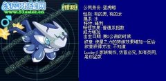 ‘淡定’and‘上善’解析藍虎鯨