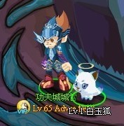 功夫派白玉狐技能表