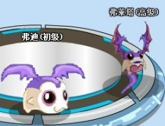 星憶解析新精靈：弗萊塔