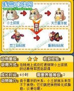 奧拉星重裝鉆鉆鼠在哪怎么抓，豆丁鉆鉆鼠在哪