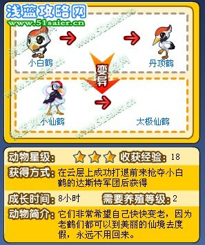 奧拉星小仙鶴在哪，太極仙鶴在哪怎么抓？