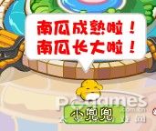 奧比島尋找伯爵洛拉的快樂攻略 萬圣節前奏來臨！