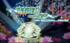 小花仙[稀有花種]尾聲