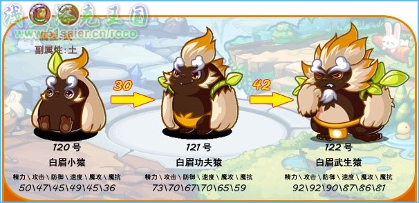 洛克王國白眉小猿進化圖