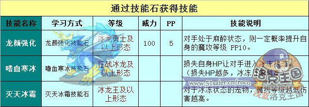 洛克王國(guó)冰龍王技能石