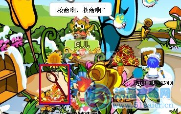 奧比島2月17日黑色迷蝶歸來