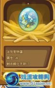 低級寵物過意志精魄，不看后悔！！！