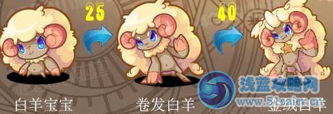 白羊寶寶進化圖