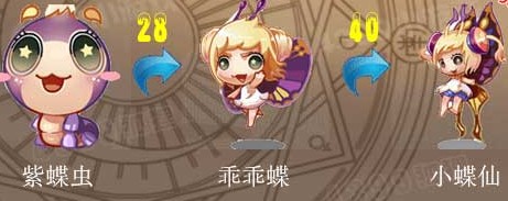 小蝶仙進化圖