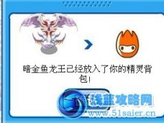 暗金魚龍王已出