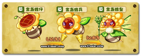 西普大陸金盞蜂仔-金盞蜂兵-金盞蜂皇