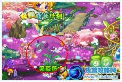 奧雅之光隱情攻略
