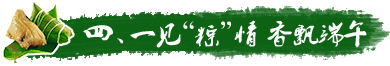 一見“粽”情 香飄端午