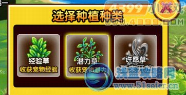 造夢西游3V3.1回到過去，穿越回神獸森林拯救青龍，寵物培養系統