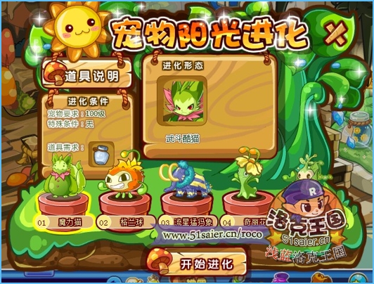 洛克王國武斗酷貓