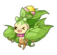 洛克王國空靈斗士配招,空靈斗士怎么配招