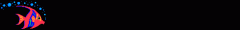 零度の想念帶來神一樣的對戰精靈——卡斯托爾