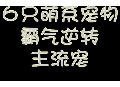 萌系寵物大逆襲-6只萌系寵物翻盤 USA解說