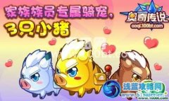 奧奇?zhèn)髡f家族族員專屬騎寵，3只小豬