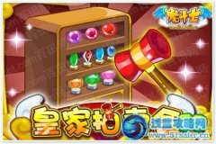 龍斗士11月16日更新預告