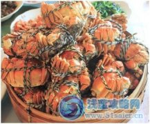 賽爾號布奧尼解析——Author kofcao