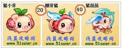 奧拉星豬小芽-嫩芽豬-豬苗苗進(jìn)化圖