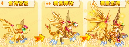 奧奇傳說金龍寶寶-黃金翔龍-黃金圣龍進化圖