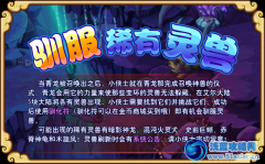 功夫派馴服稀有靈獸