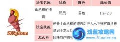 造夢(mèng)西游3龜丞相的遺言解析