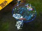 世界第一冰鳥Froggen 鳳凰經典教科書